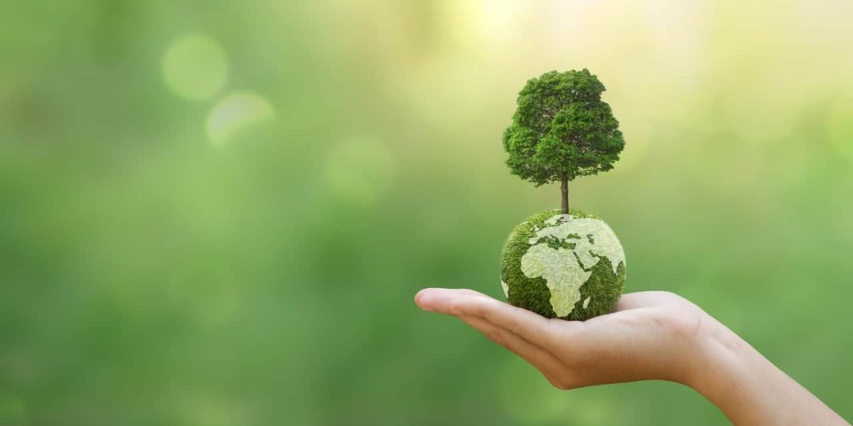 Hand of human holding green earth with tree for ESG, co2, and net zero.Concept of World sustainable environment, Save our Planet, World Environment Day, World Earth Day and Climate change.